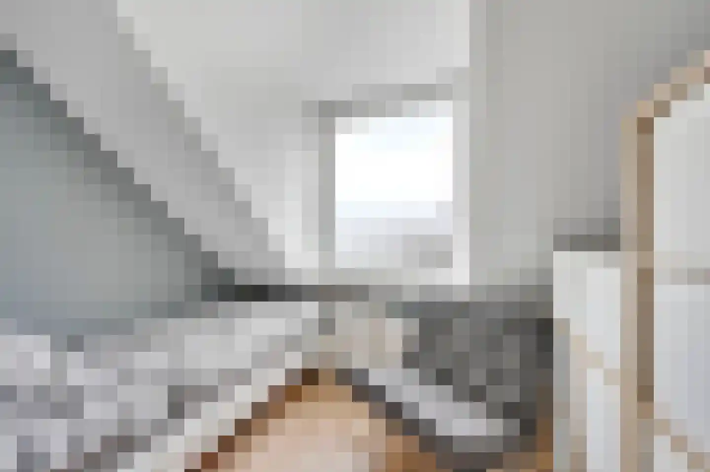 Waldeck Pyrmontlaan 41 Rijswijk thumbnail 52