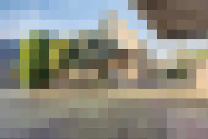Waldeck Pyrmontlaan 41 Soest thumbnail 38