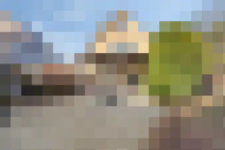 Waldeck Pyrmontlaan 41 Soest thumbnail 39