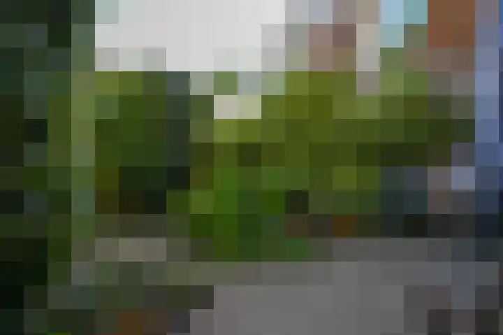 Waldeck Pyrmontlaan 45 Rijswijk thumbnail 22