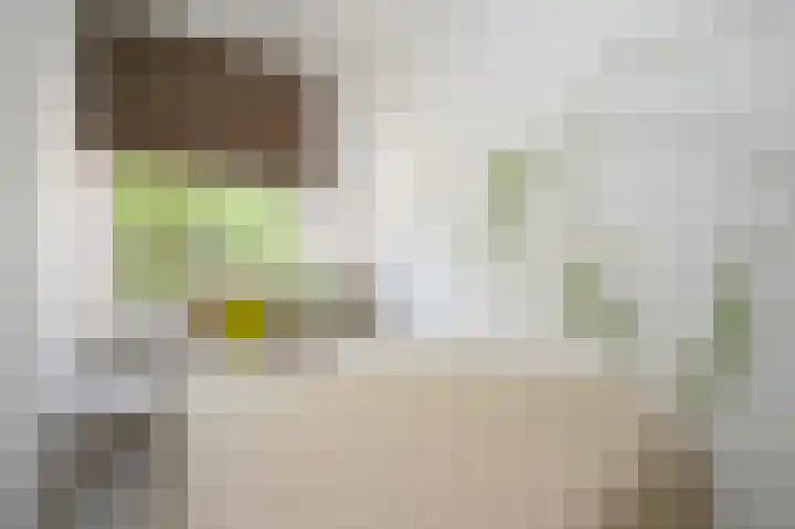 Waldeck Pyrmontlaan 45 Rijswijk thumbnail 32