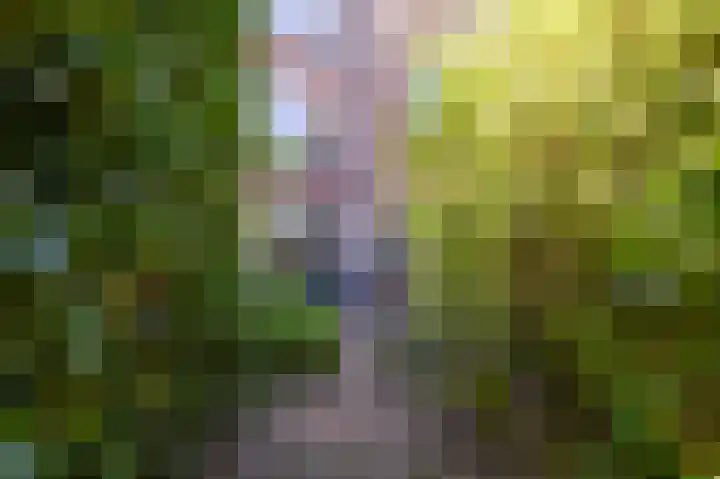Waldeck Pyrmontlaan 45 Rijswijk thumbnail 4