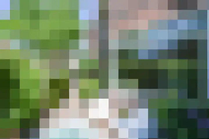 Waldeck Pyrmontlaan 45 Rijswijk thumbnail 6