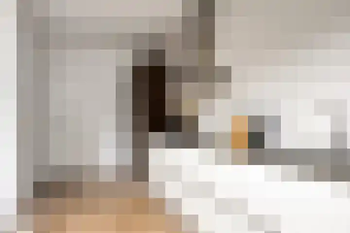 Waldeck Pyrmontlaan 6 Velp thumbnail 14