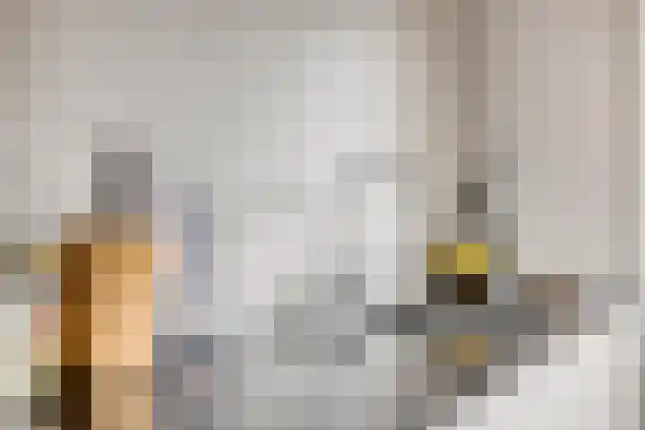 Waldeck Pyrmontlaan 6 Velp thumbnail 15