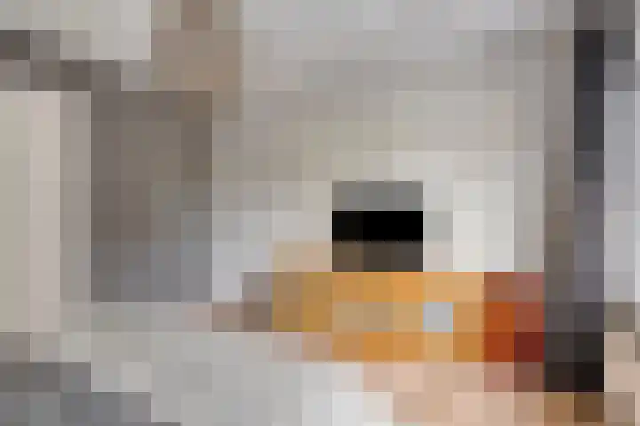 Waldeck Pyrmontlaan 6 Velp thumbnail 20