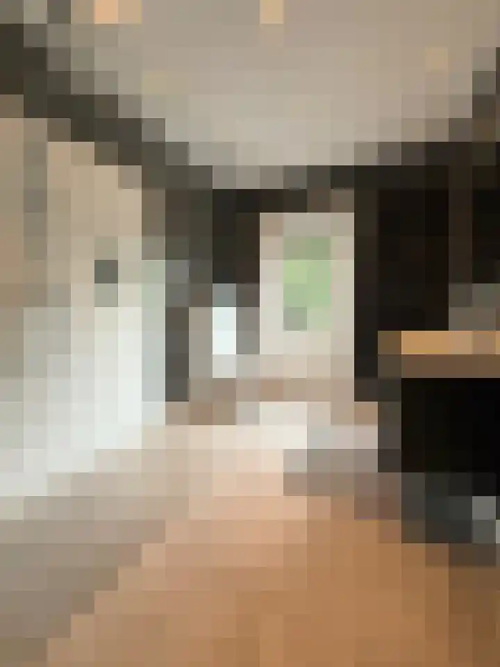 Waldeck Pyrmontlaan 6 Velp thumbnail 21