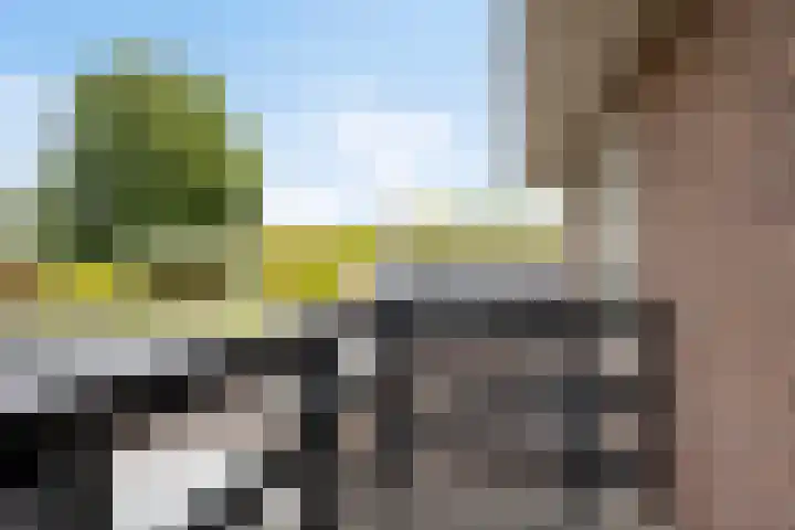 Waldeck Pyrmontlaan 6 Velp thumbnail 24
