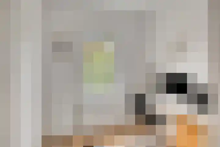 Waldeck Pyrmontlaan 6 Velp thumbnail 27