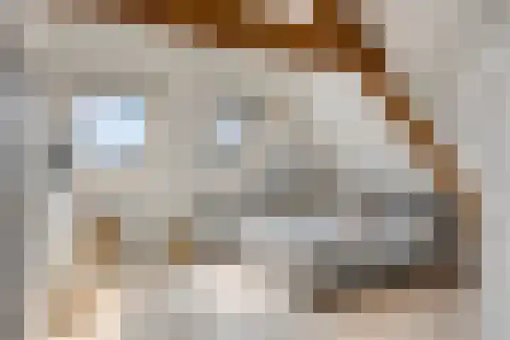 Waldeck Pyrmontlaan 6 Velp thumbnail 30