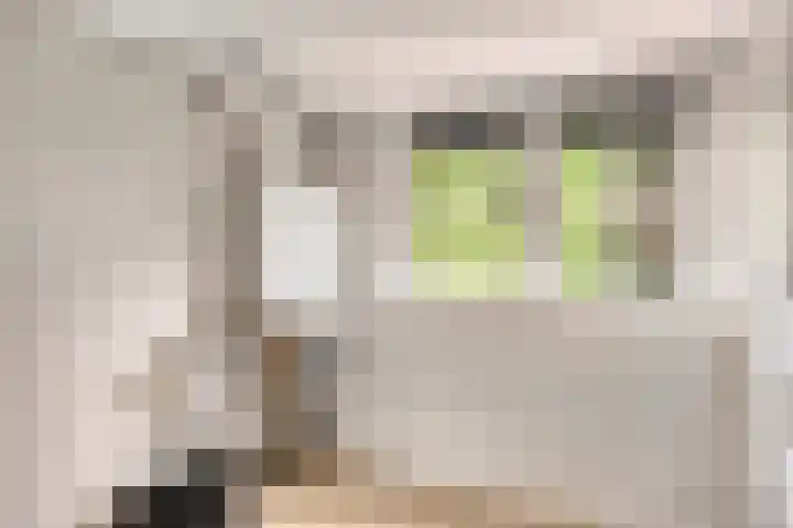 Waldeck Pyrmontlaan 6 Velp thumbnail 31