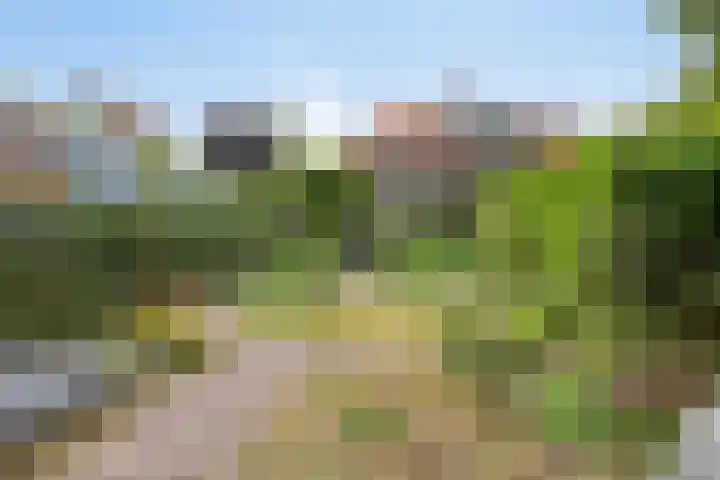 Waldeck Pyrmontlaan 6 Velp thumbnail 32