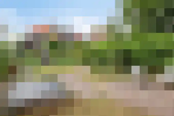 Waldeck Pyrmontlaan 6 Velp thumbnail 33