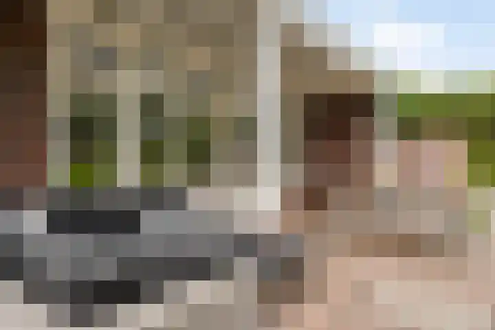 Waldeck Pyrmontlaan 6 Velp thumbnail 34