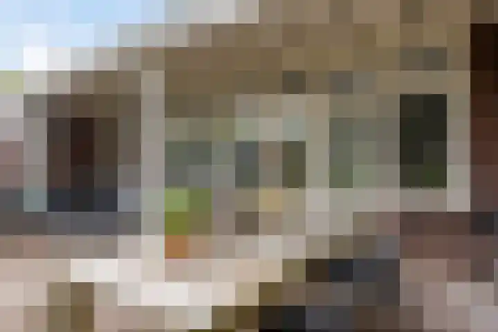 Waldeck Pyrmontlaan 6 Velp thumbnail 35