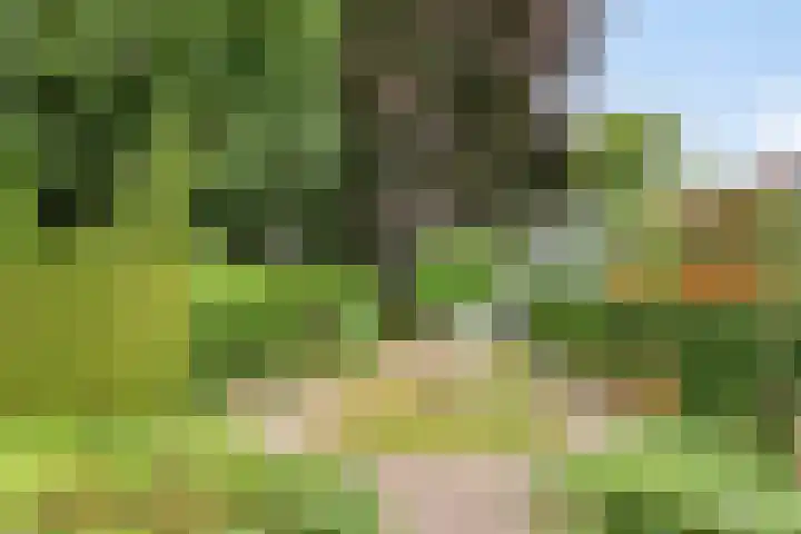 Waldeck Pyrmontlaan 6 Velp thumbnail 36