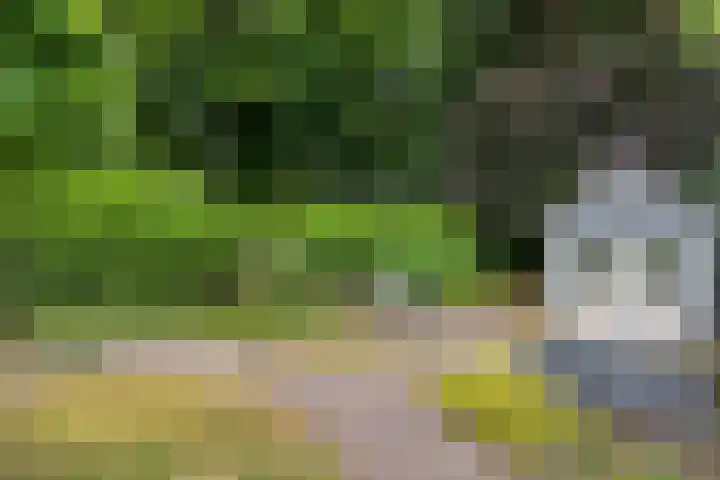 Waldeck Pyrmontlaan 6 Velp thumbnail 37