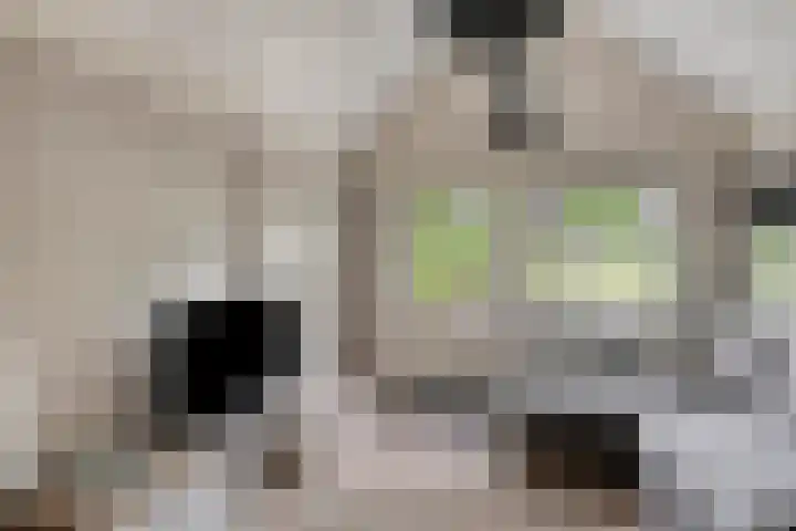 Waldeck Pyrmontlaan 6 Velp thumbnail 38