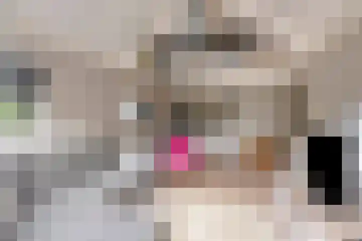 Waldeck Pyrmontlaan 6 Velp thumbnail 39