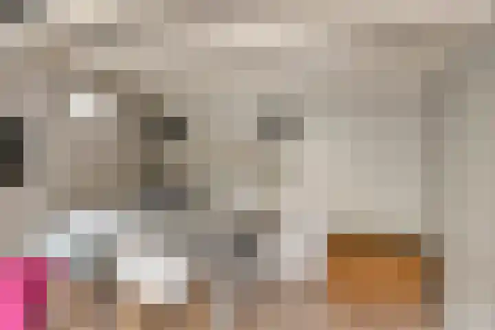 Waldeck Pyrmontlaan 6 Velp thumbnail 40