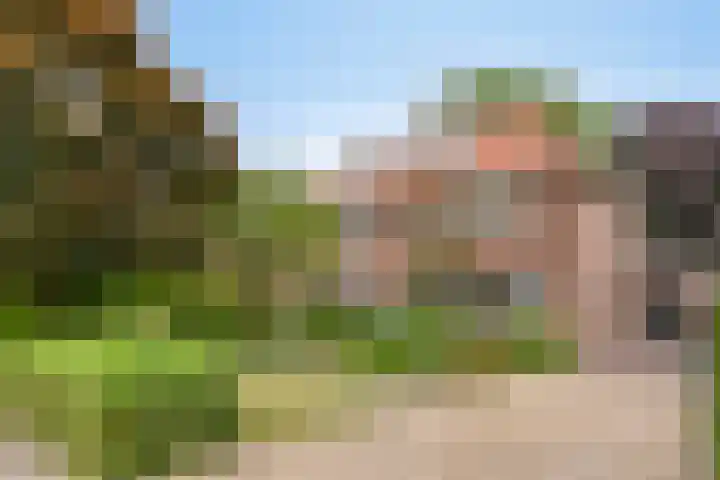 Waldeck Pyrmontlaan 6 Velp thumbnail 41