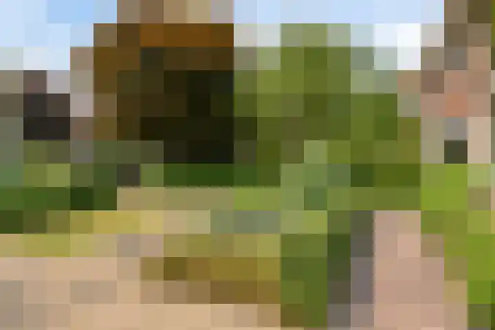 Waldeck Pyrmontlaan 6 Velp thumbnail 43