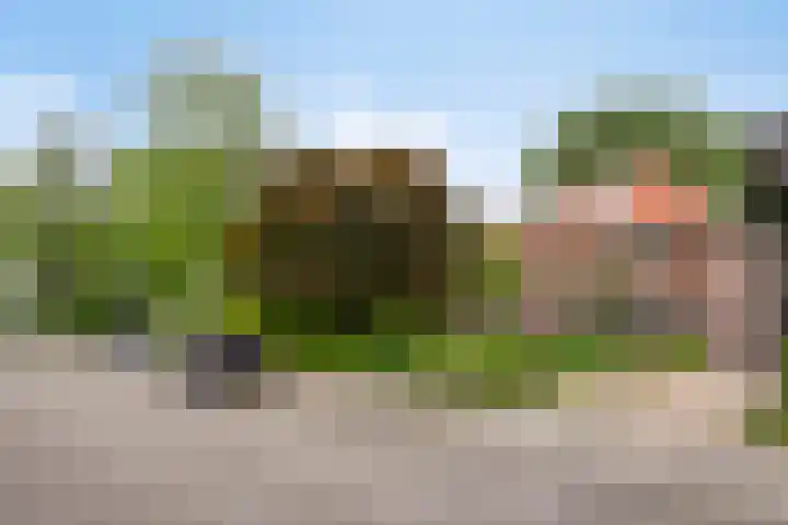 Waldeck Pyrmontlaan 6 Velp thumbnail 45
