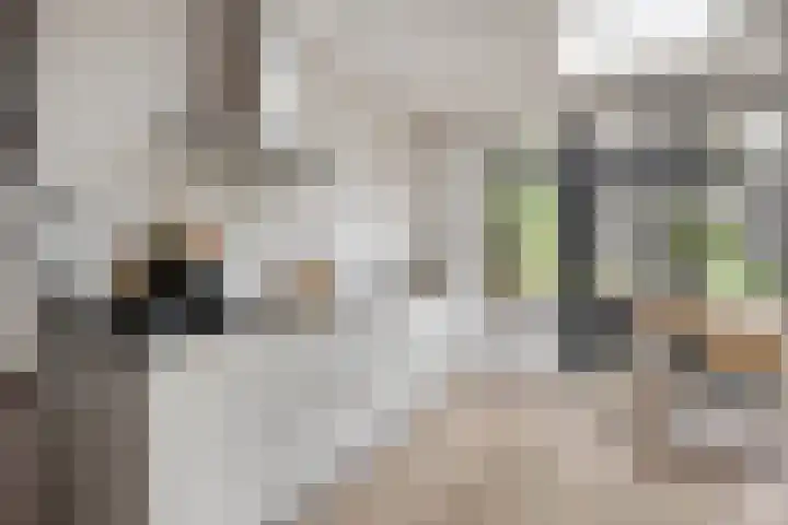 Waldeck Pyrmontlaan 6 Velp thumbnail 5
