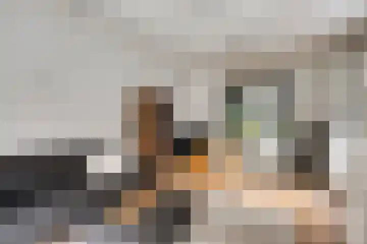 Waldeck Pyrmontlaan 6 Velp thumbnail 9
