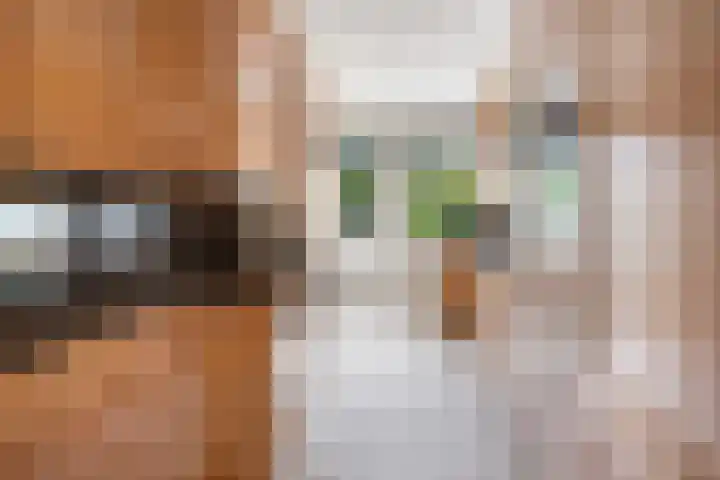 Waldeck Pyrmontlaan 6 Wassenaar thumbnail 12