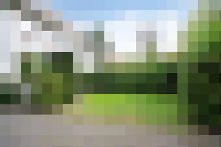 Waldeck Pyrmontlaan 6 Wassenaar thumbnail 43