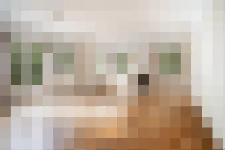 Waldeck Pyrmontlaan 6 Wassenaar thumbnail 8