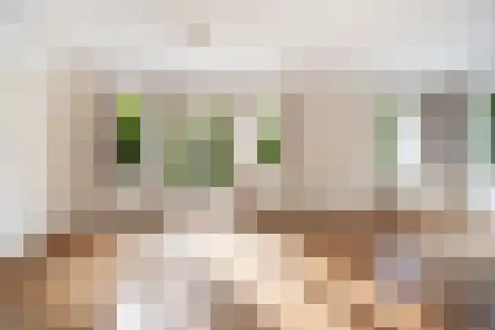 Waldeck Pyrmontlaan 6 Wassenaar thumbnail 9
