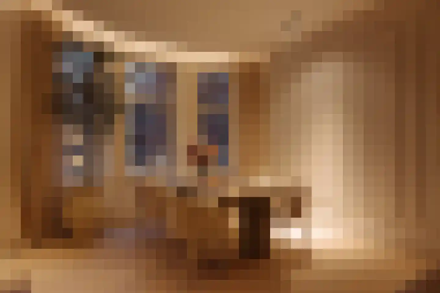 Waldeck Pyrmontlaan 8 1 Amsterdam thumbnail 17