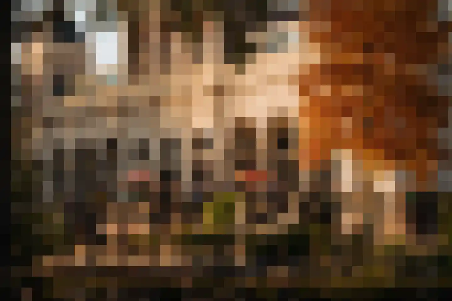 Waldeck Pyrmontlaan 8 1 Amsterdam thumbnail 38