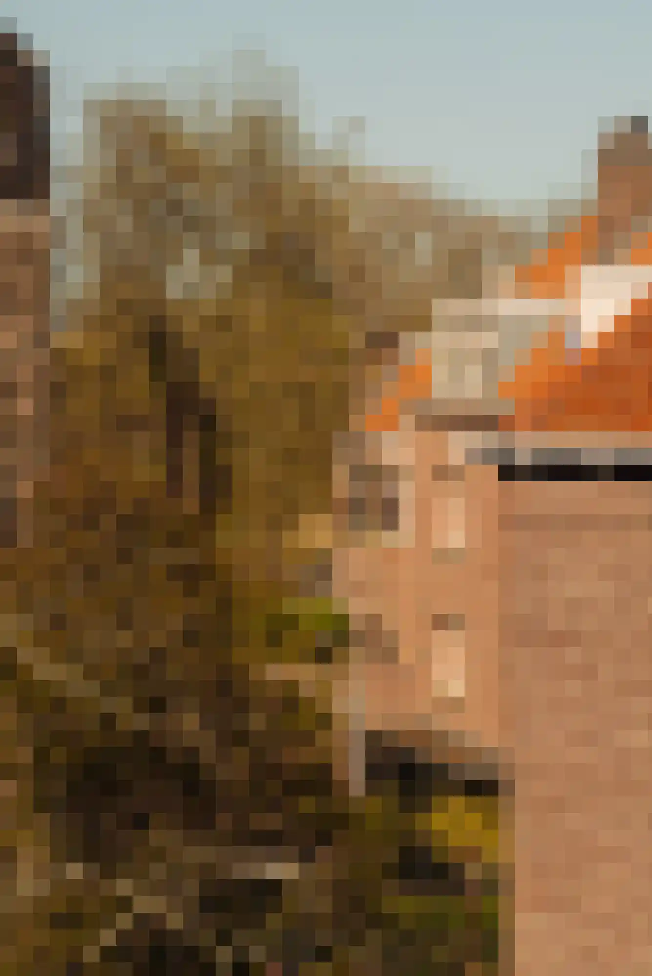 Waldeck Pyrmontlaan 8 3B Amsterdam thumbnail 30