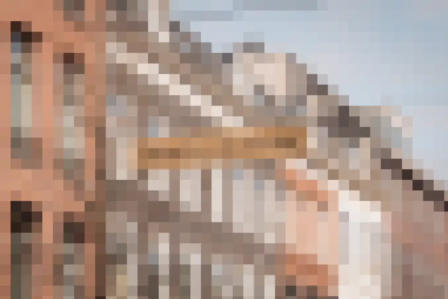 Waldeck Pyrmontlaan 8 3B Amsterdam thumbnail 52