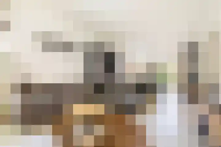Waldeck Pyrmontlaan 8 Doorwerth thumbnail 15