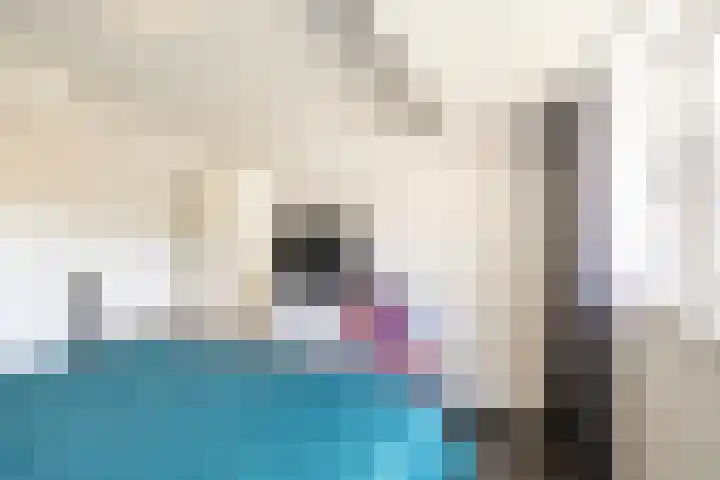 Waldeck Pyrmontlaan 8 Doorwerth thumbnail 21