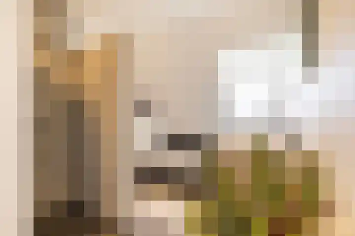 Waldeck Pyrmontlaan 8 Doorwerth thumbnail 26