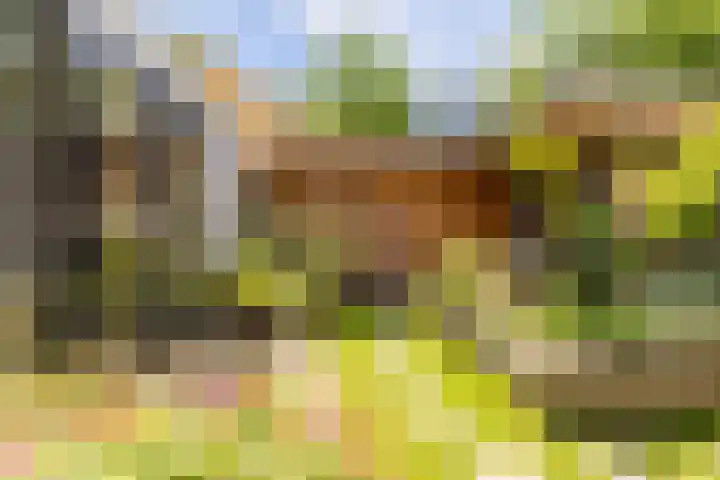 Waldeck Pyrmontlaan 8 Doorwerth thumbnail 30