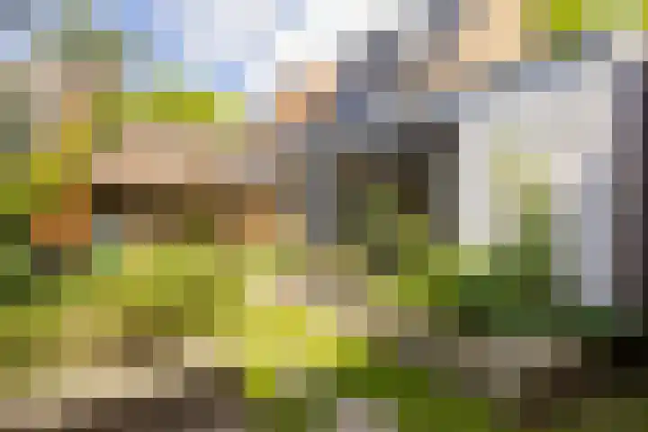 Waldeck Pyrmontlaan 8 Doorwerth thumbnail 31