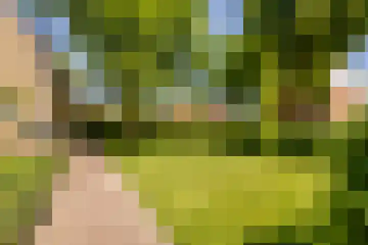 Waldeck Pyrmontlaan 8 Doorwerth thumbnail 36