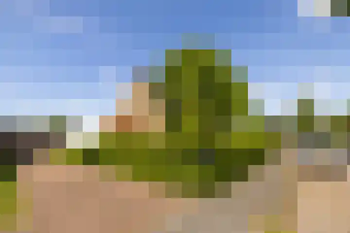 Waldeck Pyrmontlaan 8 Doorwerth thumbnail 37