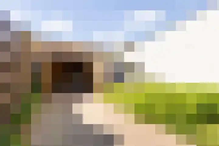 Waldeck Pyrmontlaan 8 Doorwerth thumbnail 38