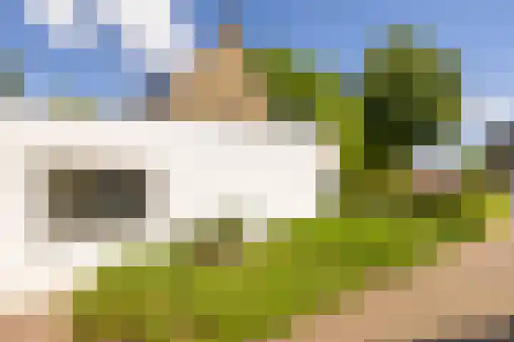 Waldeck Pyrmontlaan 8 Doorwerth thumbnail 39