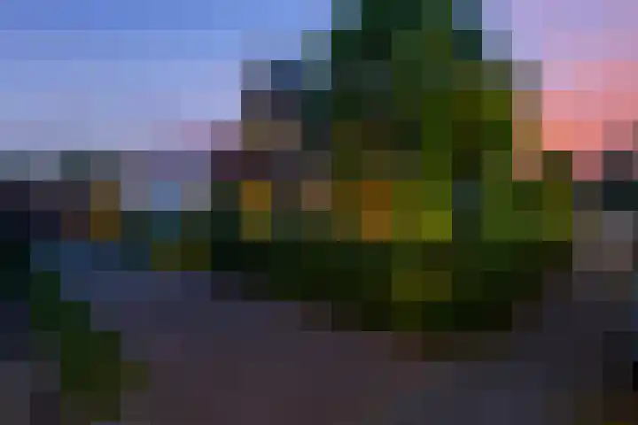 Waldeck Pyrmontlaan 8 Doorwerth thumbnail 44