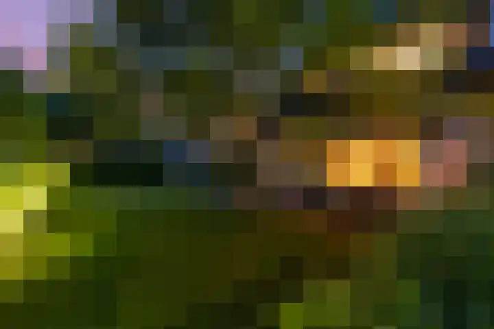 Waldeck Pyrmontlaan 8 Doorwerth thumbnail 46