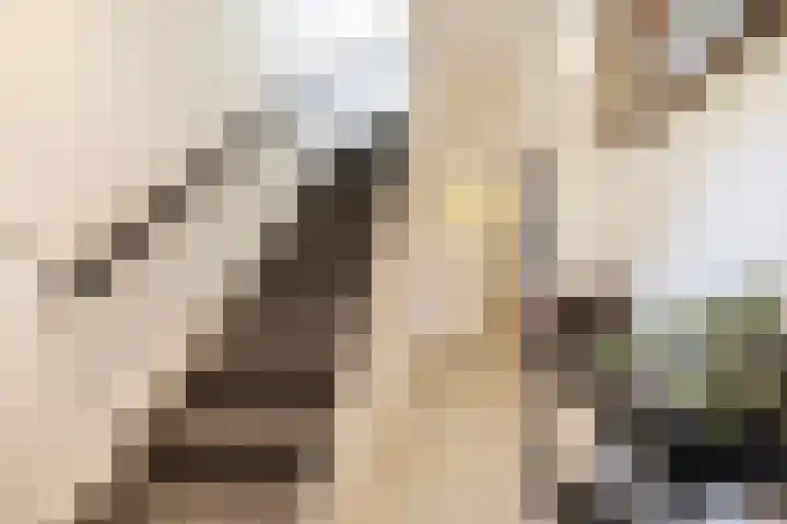 Waldeck Pyrmontlaan 8 Doorwerth thumbnail 6