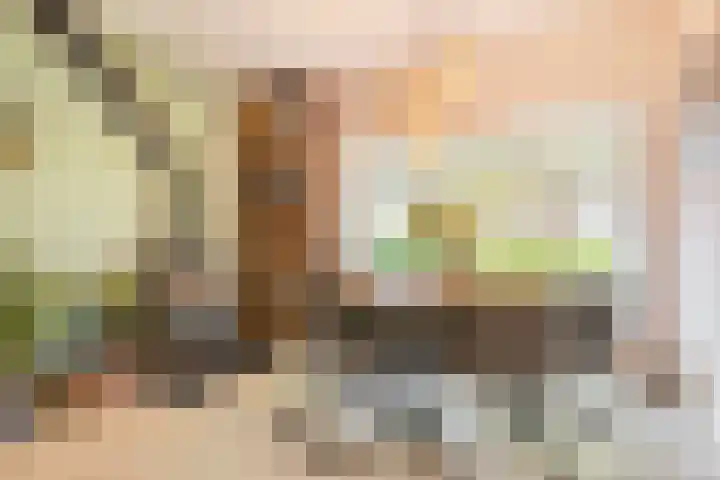 Waldeck Pyrmontlaan 8 Doorwerth thumbnail 8